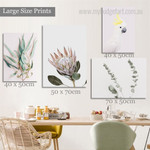 Protea Floret Leafage Flower Floral Modern Stretched Canvas Print 4 Piece Set Photograph for Room Wall Art Equipment Protea Floret Leafage Flower Floral Modern Stretched Canvas Print 4 Piece Set Photograph for Room Wall Art Equipment