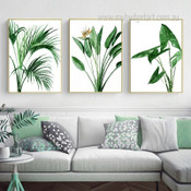 Tropical Plants Botanical Abstract Modern Scandinavian Stretched Framed Artwork Image 3 Panel Canvas Prints For Room Trimming