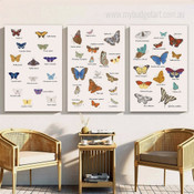Chromatic Butterflies Animal Minimalist Photograph Modern 3 Panel Set Canvas Print for Room Wall Artwork Equipment