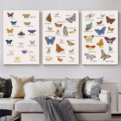 Calico Butterflies Modern 3 Multi Panel Minimalist Painting Set Photograph Animal Canvas Print for Room Wall Decoration