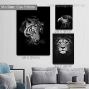 Angry Tiger Black and White Wild Animal Modern Artwork Image 3 Piece Wall Art for Room Wall Ornament