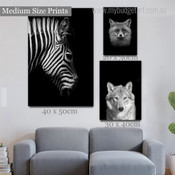 Arctic Fox Black and White Wild Animals Modern Artwork Picture 3 Piece Canvas Art for Room Wall Adorn