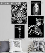 Portrait Of White Horse Black and White Wild Animals Modern Artwork Photo 4 Piece Wall Art for Room Adornment