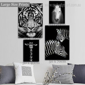 Portrait Of White Horse Black and White Wild Animals Modern Artwork Picture 4 Piece Multi Panel Wall Art for Room Décor