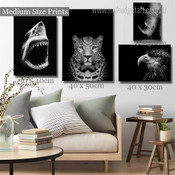 Furious Shark Black and White Wild Animals Modern Artwork Picture 4 Piece Multi Panel Wall Art for Room Decoration