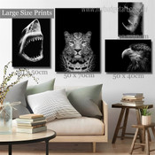 Furious Shark Black and White Wild Animals Modern Artwork Photo 4 Piece Wall Art for Bedroom Adornment