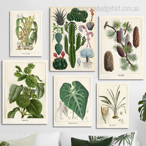 Cactus And Tropical Plants Botanical Photograph Modern 6 Piece Set Wrapped Rolled Canvas Print Wall Hanging Artwork Arrangement