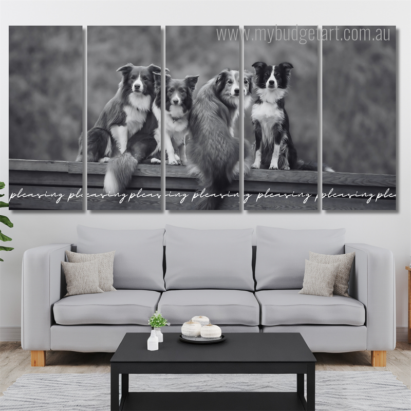 Border Collie Dog Animal Modern Framed Painting Pictures 5 Piece Canvas Wall Art Set Australia For Living Room