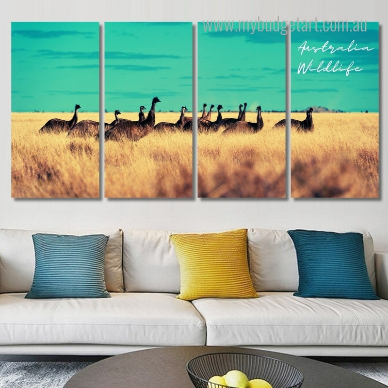 Flock Of Emus Australia Animal Modern Framed Painting Photograph 4 Piece Framed Wall Art Prints For Room Décor