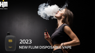 8 Guides to Exploring the Flum Pebble Vape Wholesale in 2023