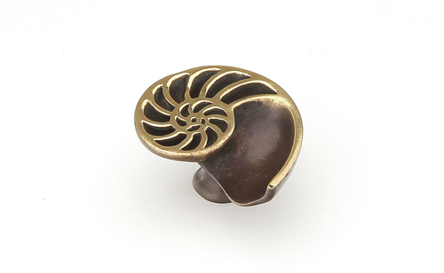 Nature Knob, Shell, Left, Polished Brass, Dark Bronze, 1-1/2'' x 1-1/4'' 980L-PB/BZ