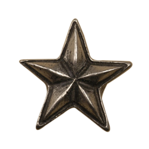 Star-Lg Knob