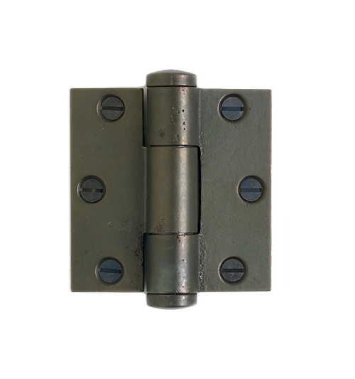 Concealed Bearing Hinges HNG3-5  in Silicon Bronze Brushed