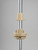 Rev-A-Shelf 20 in Banded Wood D-Shape Lazy Susans 2-Shelf LD-4BW-262-1