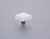 Fused Glass, Small Square Knob 1-1/2'' Dia, Translucent White, Conical Stem, Gold 211066-TW-GLD