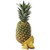 Bear Natural Organics Pineapple Scented Shea and Soap
