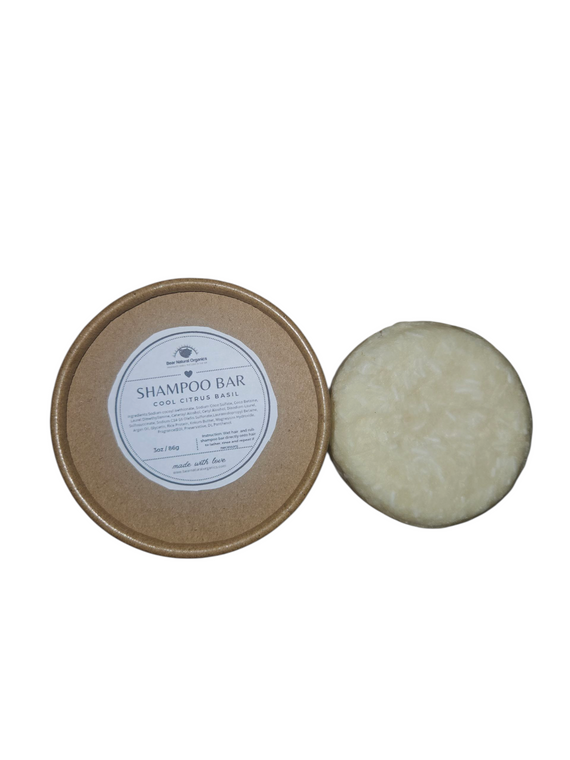 48 Eco Friendly Chemical Free  Citrus Coconut Argan Oil Shampoo Bar 2.20 ounce