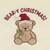 Teddy Bear 2-Pack Hand Towel Set