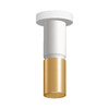 3in X 10inH 2-TONE Cylinder 9/12/15W 3CCT 120-277V DUAL-DIM With Canopy WHITE/GOLD