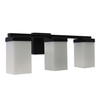 Medium Base M Series Vanity Light 3-LAMP Black