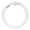 Sunlite FCL30/50K T9 Circline Fluorescent Lamp, 30W, 5000K, 1800 Lumens, CRI 80, 4-Pin G10q Base