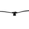 String Lights, 48', 15 Sockets, 36" Spacing, E26, Black, 120V, Wet Rated, Non-Dimming