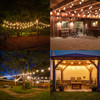 String Lights, 48', 15 Sockets, 36" Spacing, E26, Black, 120V, Wet Rated, Non-Dimming