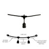 String Lights, 48', 15 Sockets, 36" Spacing, E26, Black, 120V, Wet Rated, Non-Dimming