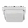 Frosted Replacement Lens for CGL-40W & 55W image 2