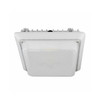 Frosted Replacement Lens for CGL-75W & 100W