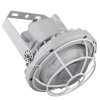 Dome Wire Guard for EXPR 100W - 150W