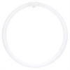 T9 Circline Fluorescent Lamp, 16 Inch, 40W, 2600lm, 6500K, G10q Base