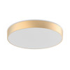 FEL-R10 Decorative Trim, Black|Brushed Nickel|Gold