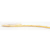 Lotus LED Lights Sauna COB LED Strip, 24V, 3W/ft, 12mm, CRI90+, IP67, Dim to Warm 3000-1800K, 16FT
