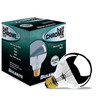 Bulbrite Incandescent 40 Watt G25 Light Bulb With Medium Screw (E26) Base - alternate image 7