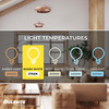Bulbrite Incandescent 25 Watt G16.5 Light Bulb With Candelabra Screw (E12) Base - alternate image 5