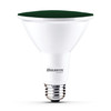Bulbrite LED 15 Watt Par38 Light Bulb With Medium Screw (E26) Base - main product image