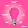 25-Watt Equivalent Ceramic Pink Color A19 Weatherproof Outdoor E26 Medium Base LED Light Bulb - alternate image 5