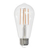 Bulbrite LED 13 Watt ST18 Light Bulb With A Clear Finish And Medium Screw (E26) Base, 5000K (Soft Daylight Light) - main product image