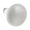 LED BR30 Lamp, 10W, 120V, 2700K, 850lm, E26 Base, Damp Rated, Dimmable