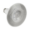 LED PAR38 Lamp, 12W, 1050lm, 5000K, 120V, 40°, E26, Wet Rated, Dimmable, 2-Pack