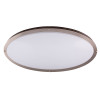 DCxxx Series LED Decorative Ceiling Light