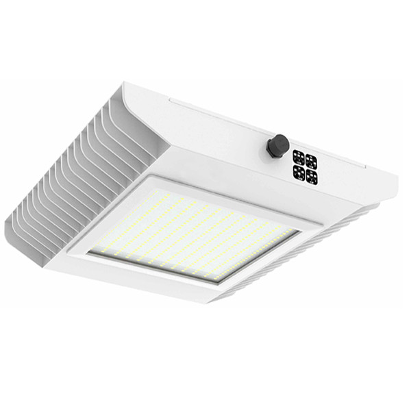 Power-Adjustable Surface Mount Canopy Light