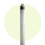 Fluorescent Lamps