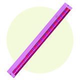 Grow Lights