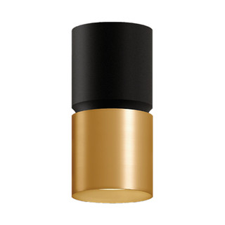 6in X 12inH 2-TONE Cylinder 1/24/30W 3CCT 120-277V DUAL-DIM BLACK/GOLD