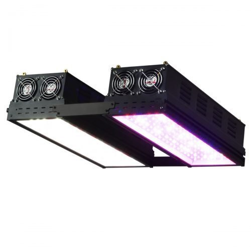 Black Series 566 Watt LED Spectrum Grow Light (Double Module)