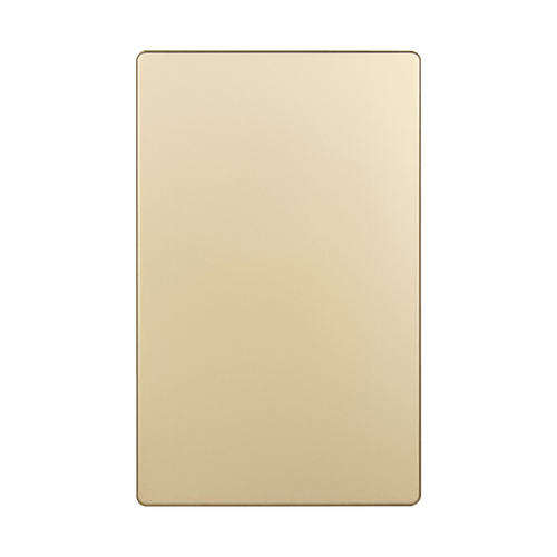 Screwless Blank Wall Plate, Gold