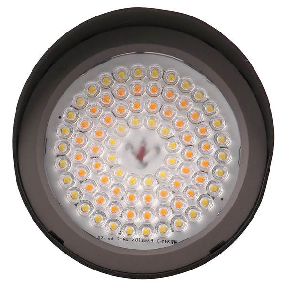 Westgate Manufacturing, FLD3 Series, 25W Multi-CCT Flood Light with Photocell and Knuckle Mount