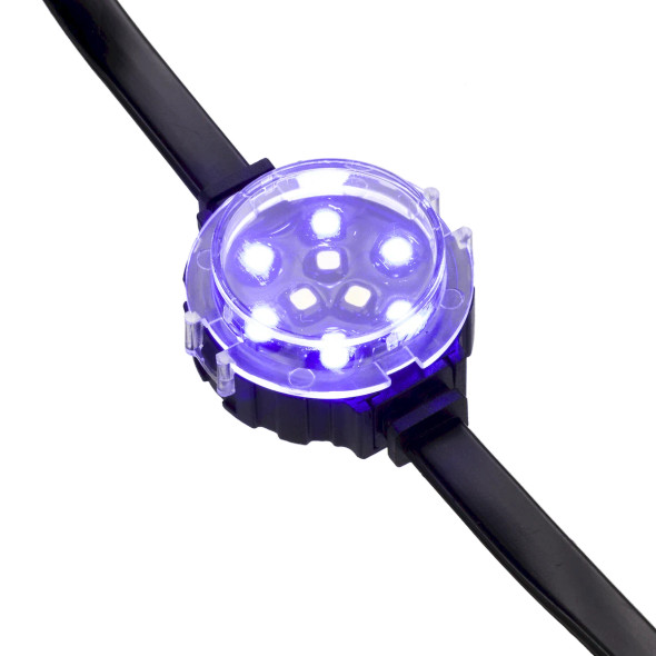 Pixel Dot Light String, Black, Transparent Flat, RGBW (3000K)